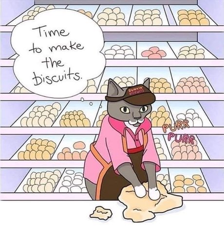 Robin x onlyfans free