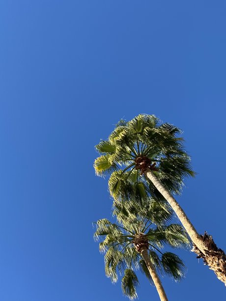 Tommy Cangiamila onlyfans porn leaks