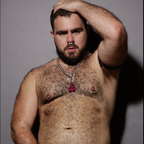 Scruffy Stocky Cub only fans pics