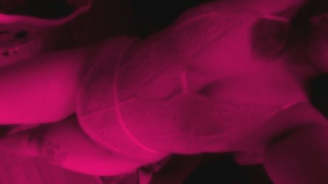 cyberkitten nudes onlyfans