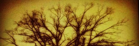 Jesse Prather onlyfans porn