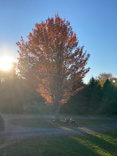 Ollyoop314 topless onlyfans