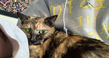 Wessy Wes onlyfans content leaked