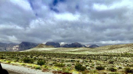 eBlood SiSK onlyfans leak fuck