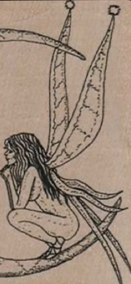 Erin Beckel nude leaks onlyfans