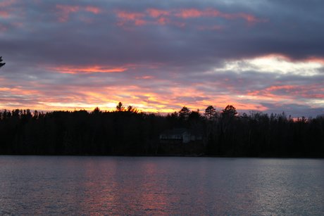 Corvette Marty onlyfans pic