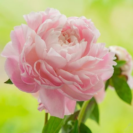 Penny Richards onlyfans nudes