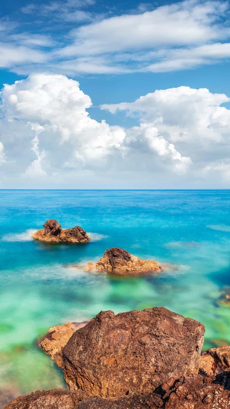 TotoBear onlyfans leaks sex