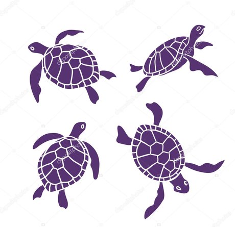 Riley Redding onlyfans model