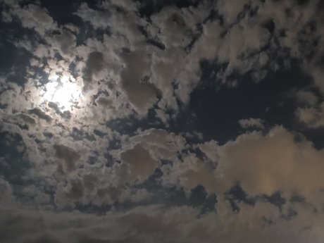 LittleD only fans leak porn