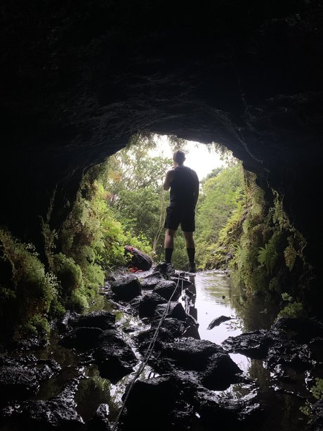 Newt leaked porn onlyfans