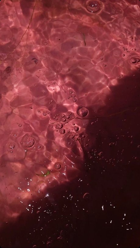 Meeky Queen onlyfans post