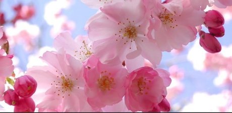 The Spider Queen ass onlyfans