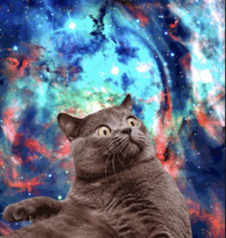 Shanikua onlyfans leaks free