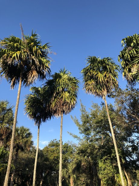 Aaron Belman leaked only fans porn