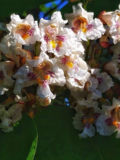 losgryfog xxx only fans