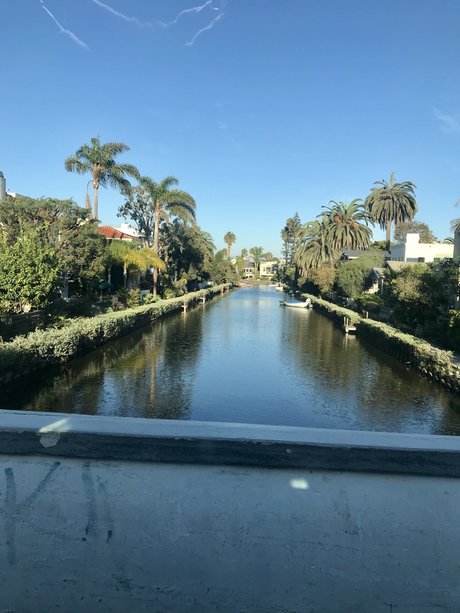 VeryReddit_ onlyfans leaks free