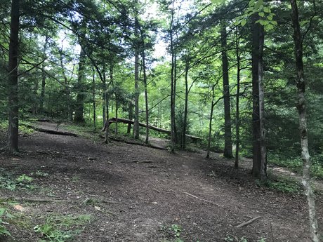 Traci Manicae feet onlyfans