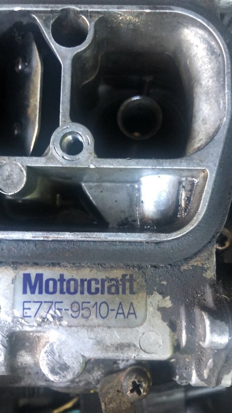 1998wranglerbeast only fans nudes