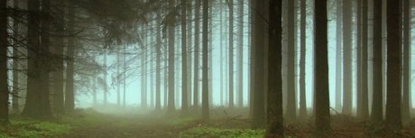 Zexion006 onlyfans porn leaks