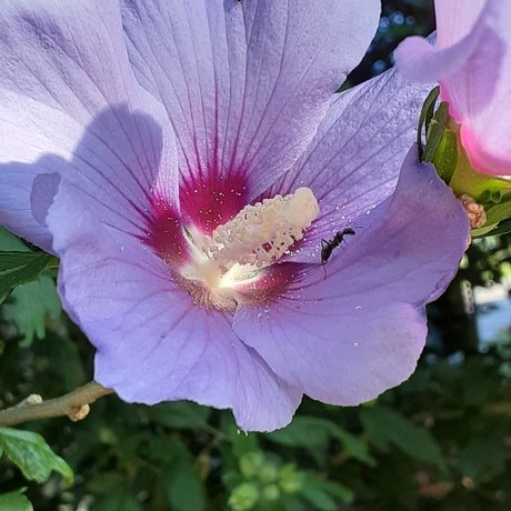 Princess Peech onlyfans porn