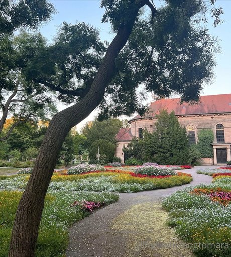 seduction onlyfans free sexy img