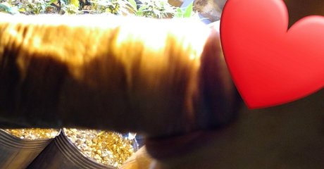 Talita Chef naked onlyfans pics