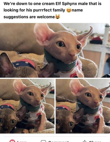 nude pictures onlyfans hot xxx scene