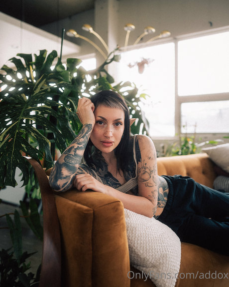 trans girl onlyfans sexy nudes archive