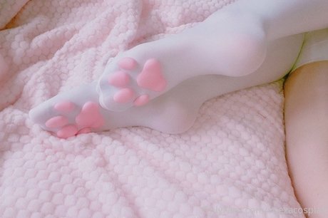 Voezacos onlyfans nude leaked