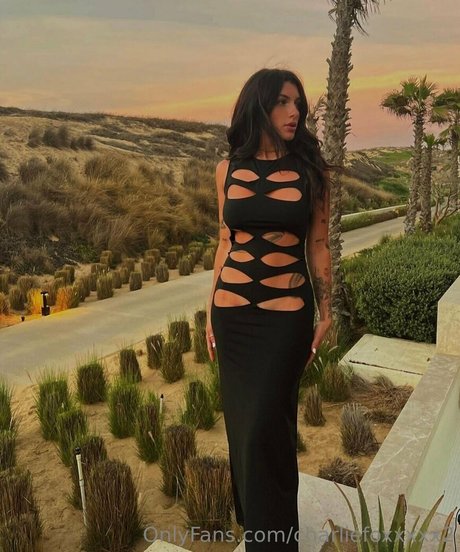 charliefoxxxxx2 onlyfans topless