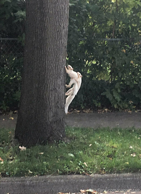 naomistarr onlyfans leaked.