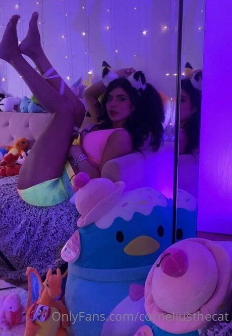 corneliusthecat onlyfans boobs