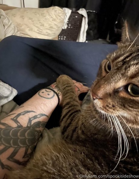 spookisideshow feet onlyfans