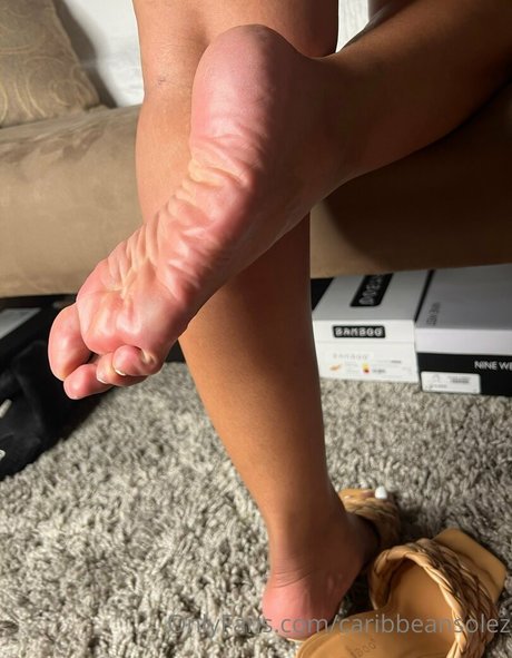 caribbeansolez onlyfans leaked tits