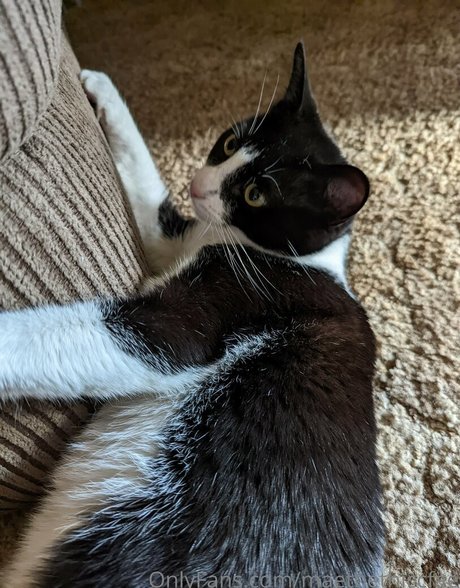 maethethiccfae onlyfans leak naked