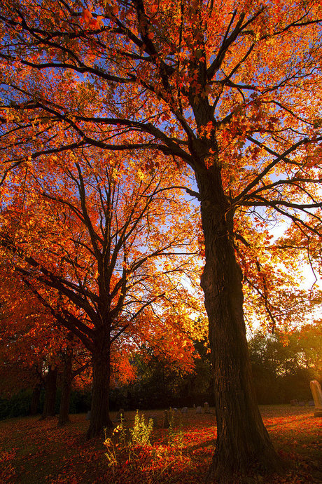 sp00pygirl onlyfans posts