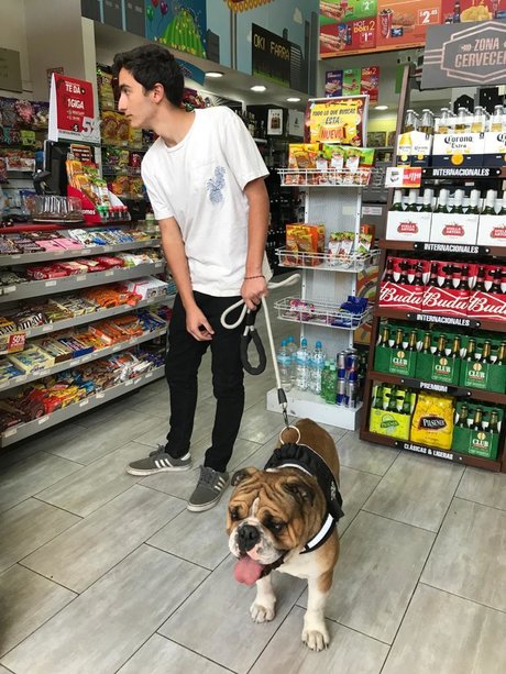 hairy milf onlyfans best illustration