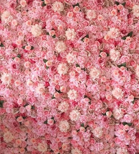 bisexual couple onlyfans top still