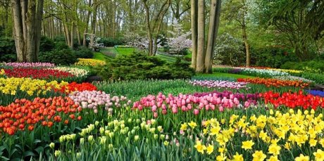 Sandra Sofia onlyfans porn free