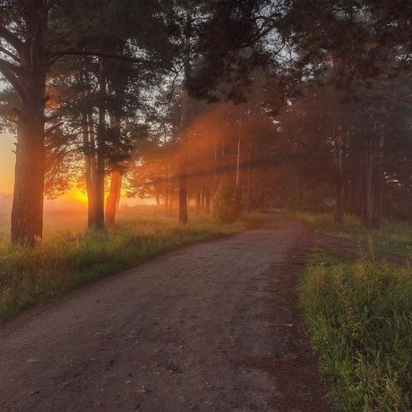 Konrad VPC only fans leaked