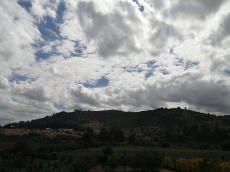 Pando leak onlyfans nude