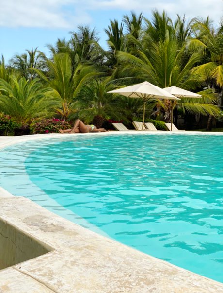 Sea mammal porn onlyfans