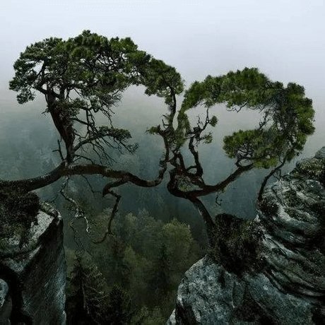 Ariah VPC onlyfans sextape