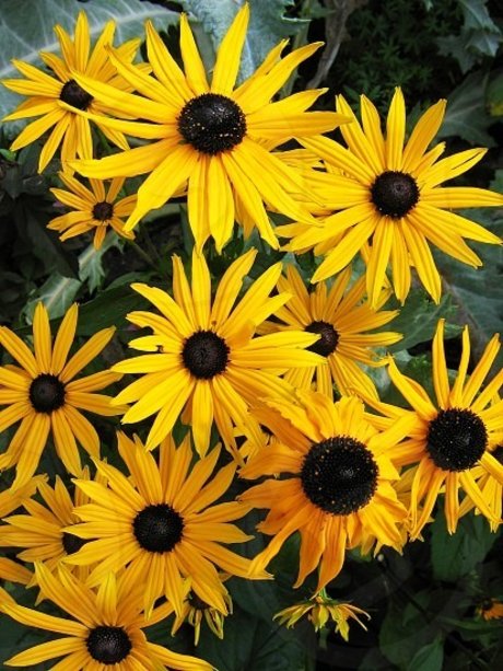 Feetship onlyfans images