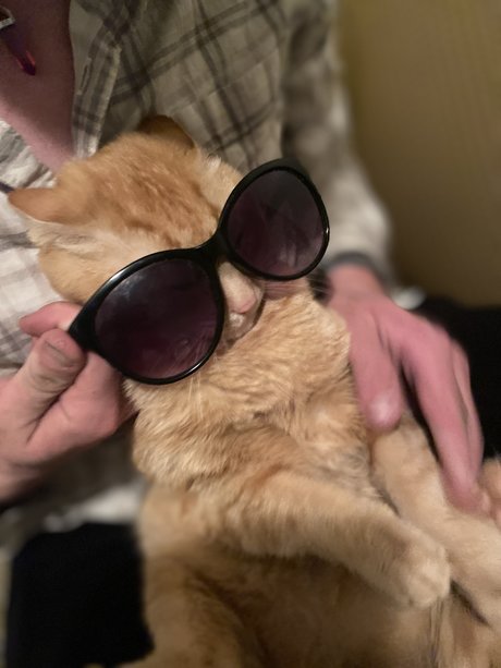 Christian Winning en onlyfans