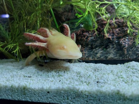 OnlyFishFans leaked onlyfans xxx