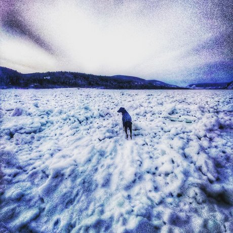 Old Man Willow only fans porn