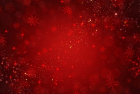 Estefany Amorim onlyfans leaks