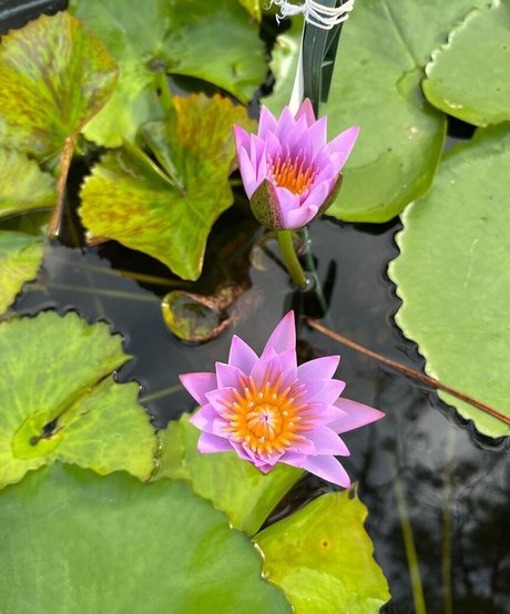 Plantbae onlyfans nudes